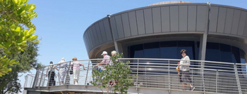 ���� ������